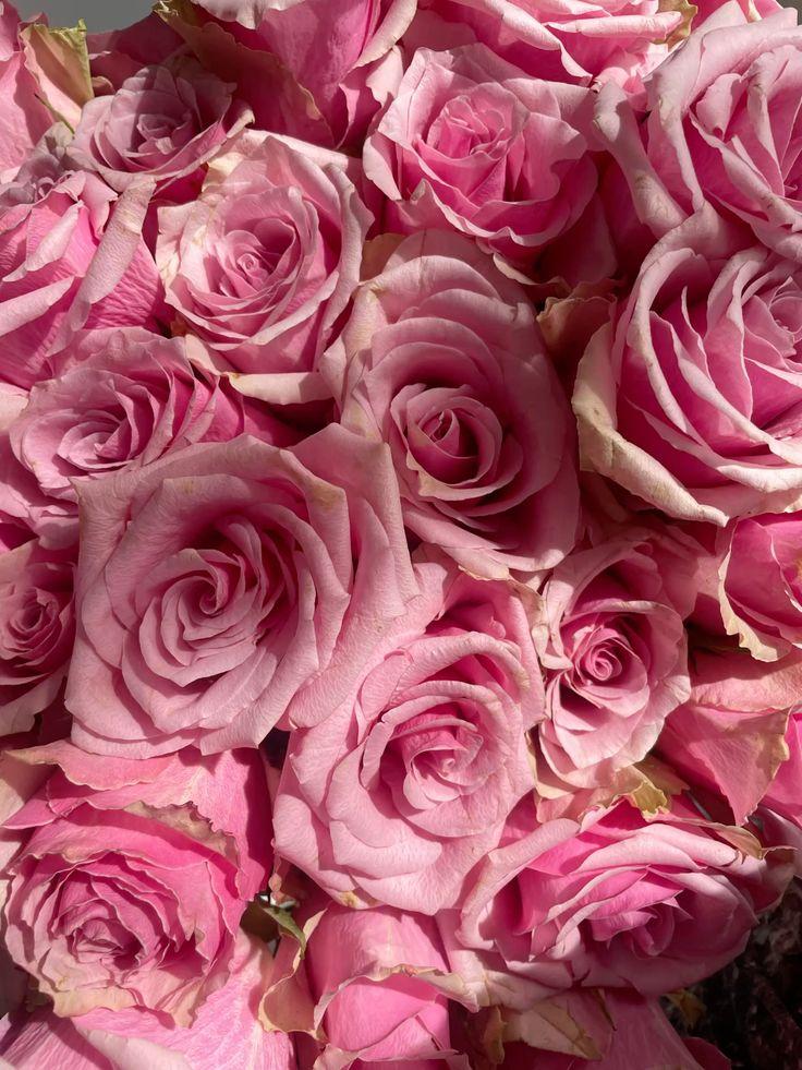 Celestial Night Fragrant Symphony